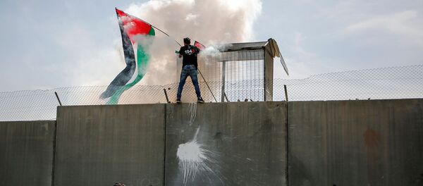 Активист с палестинским флагом после восхождения на спорную разделительную стену возле оккупированной деревни Билин на Западном берегу недалеко от Рамаллаха (2 марта 2018). Билин, Палестинские территории - Sputnik Армения