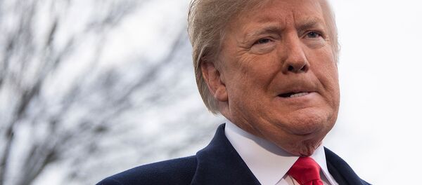 Президент США Дональд Трамп ответил на вопросы журналистов перед вылетом в Новый Орлеан, штат Луизиана (14 января 2019). Вашингтон - Sputnik Армения