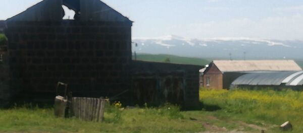 Убийство в селе Басен Ширакской области - Sputnik Армения