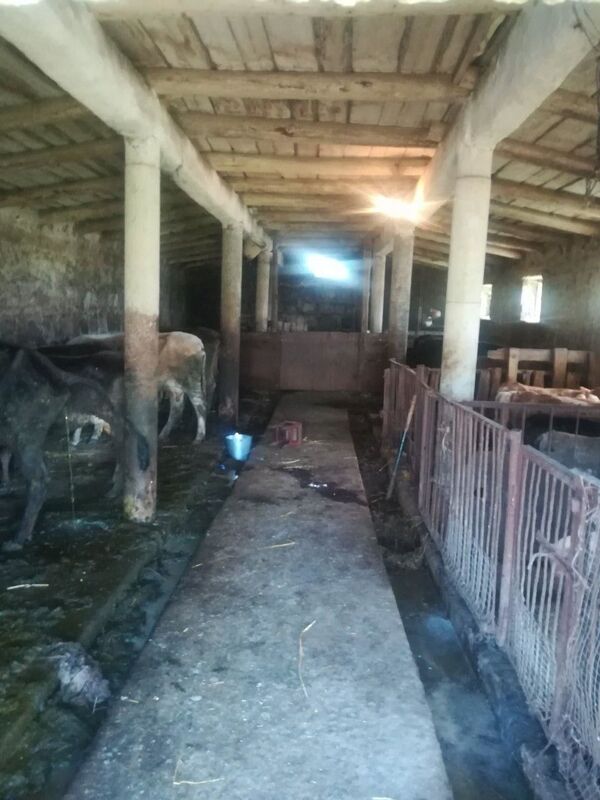 Страшный инцидент в Армении: мужчина зарезал сестру, ранил племянника и покончил с собой - Sputnik Армения