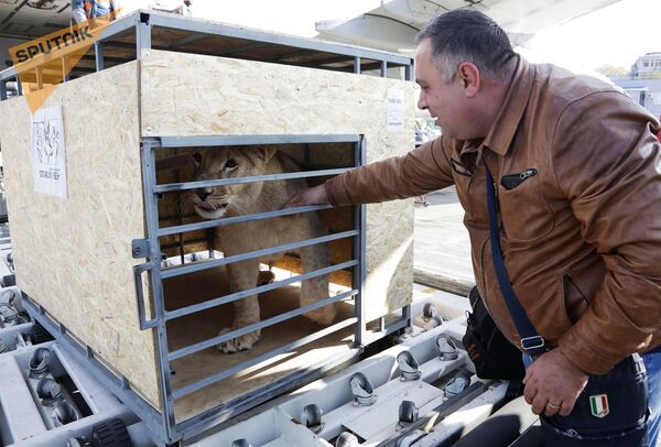 Ինչպես է Գեորգի Կարենովիչ Պուտինը, և ում է բուժում հիմա բժիշկ Դալլաքյանը - Sputnik Արմենիա