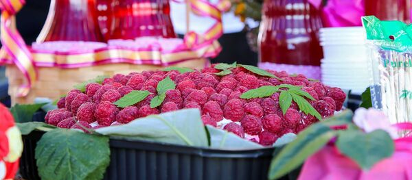 Фермерские кооперативы по выращиванию ягод в Сисианском регионе, Армения - Sputnik Армения