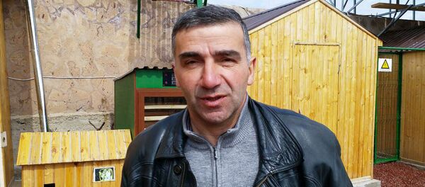 Гарник Гулканян, пчеловод, производитель органического меда из г. Ноемберян Гарник Гулканян, пчеловод, производитель органического меда из г. Ноемберян - Sputnik Արմենիա