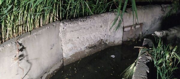 Труп младенца в канале - Sputnik Армения