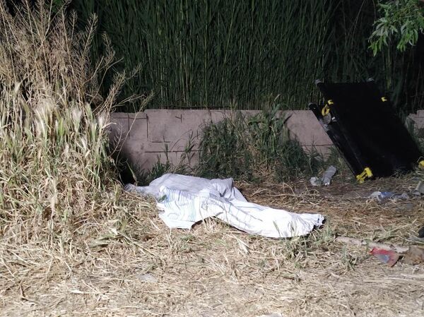 Шокирующий инцидент в Армении: младенца бросили в водоканал сразу после рождения - Sputnik Армения