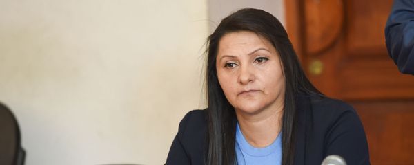 Назик Амирян на судебном заседании (4 июня 2019). Еревaн Назик Амирян на судебном заседании (4 июня 2019). Еревaн - Sputnik Արմենիա