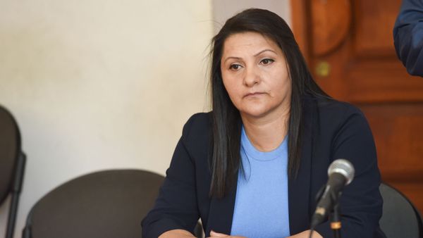 Назик Амирян на судебном заседании (4 июня 2019). Еревaн Назик Амирян на судебном заседании (4 июня 2019). Еревaн - Sputnik Армения