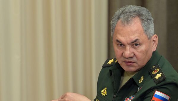 Министр обороны РФ Сергей Шойгу - Sputnik Արմենիա