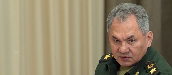 Министр обороны РФ Сергей Шойгу - Sputnik Արմենիա