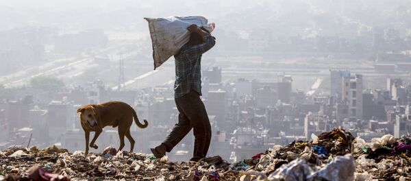 Индиец отбирает вещи на переработку в Нью-Дели, Индия - Sputnik Армения