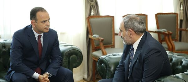 Премьер-министр Никол Пашинян принял новоназначенного главного комиссара по делам диаспоры Заре Синаняна (14 июня 2019). Еревaн - Sputnik Արմենիա