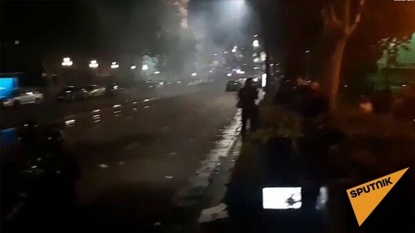 Беспорядки в Тбилиси: при каком раскладе грузинским властям удастся удержаться на плаву  - Sputnik Армения