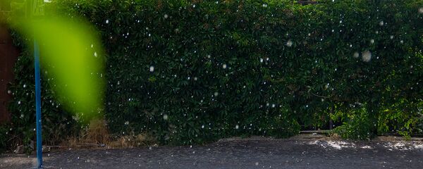 Летний дождь Летний дождь - Sputnik Армения