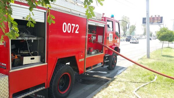 Пожар в садах Далмы в Ереване: пострадали виноградники— фото - Sputnik Армения