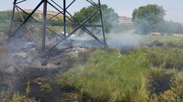 Пожар в садах Далмы в Ереване: пострадали виноградники— фото - Sputnik Армения