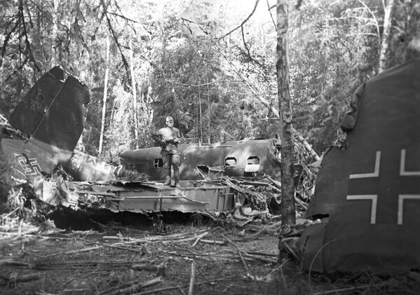 Сбитый советскими зенитчиками немецкий истребитель в подмосковном лесу - Sputnik Армения