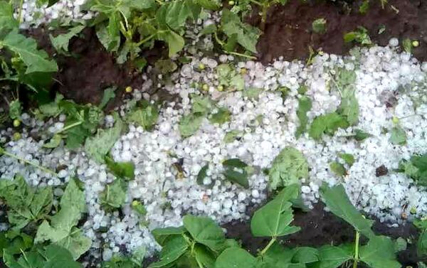 Град в Шираке - Sputnik Армения