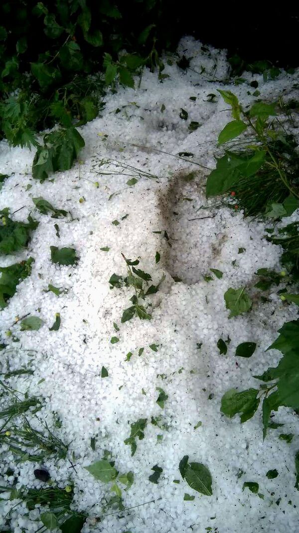 Շիրակի մարզում կարկուտն ավերել է բերքը, կոտրել պատուհաններ ու տանիքներ. լուսանկարներ Շիրակի մարզում կարկուտն ավերել է բերքը, կոտրել պատուհաններ ու տանիքներ. լուսանկարներ - Sputnik Արմենիա