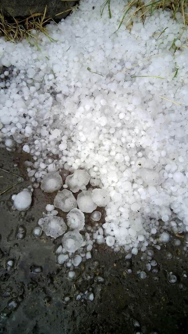 Շիրակի մարզում կարկուտն ավերել է բերքը, կոտրել պատուհաններ ու տանիքներ. լուսանկարներ Շիրակի մարզում կարկուտն ավերել է բերքը, կոտրել պատուհաններ ու տանիքներ. լուսանկարներ - Sputnik Արմենիա