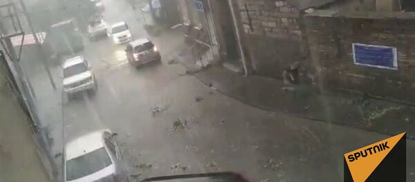 Сорванные ветви и залитые водой улицы - видео последствий урагана в Тбилиси - Sputnik Արմենիա