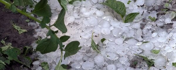 Град в Шираке Град в Шираке - Sputnik Արմենիա