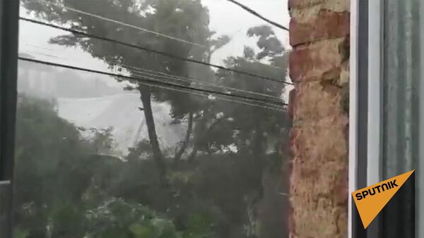 Стихия разбушевалась - видео урагана в Грузии появилось в сети - Sputnik Армения