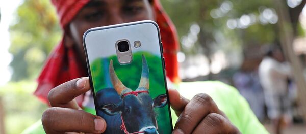 Мужчина со смартфоном в Индии Мужчина со смартфоном в Индии - Sputnik Արմենիա