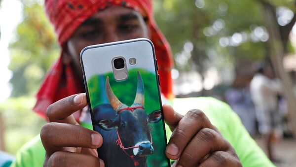 Мужчина со смартфоном в Индии - Sputnik Արմենիա
