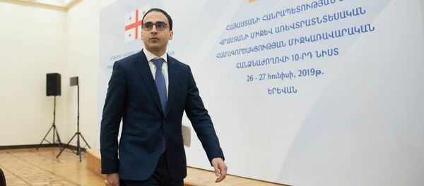 Тигран Авинян перед началом десятого заседания межправительственной армяно-грузинской экономической комиссии (27 июня 2019). Еревaн Тигран Авинян перед началом десятого заседания межправительственной армяно-грузинской экономической комиссии (27 июня 2019). Еревaн - Sputnik Արմենիա