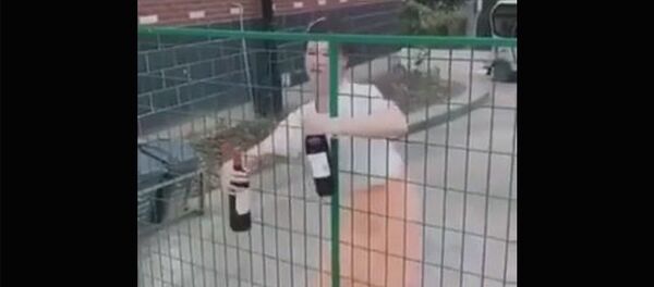 Помощник Помощник - Sputnik Արմենիա