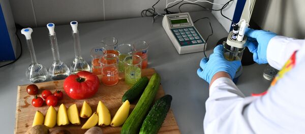 Проверка продуктов в лаборатории Роспотребнадзора Проверка продуктов в лаборатории Роспотребнадзора - Sputnik Արմենիա
