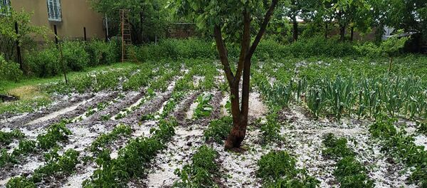 Последствия сильного града в Мартуни - Sputnik Արմենիա