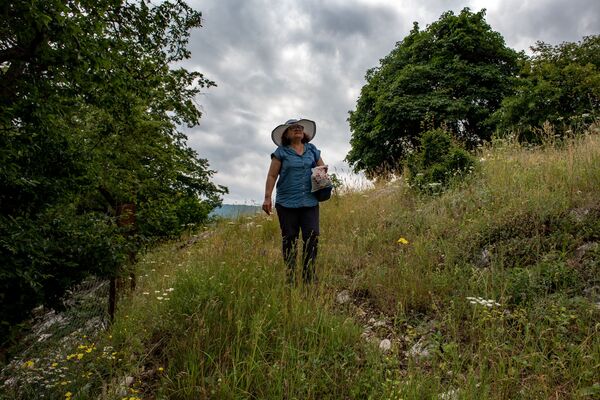 Нирвана по-армянски с бутербродом мира: как прошел фестиваль трав Айбуйс в Енокаване - Sputnik Армения