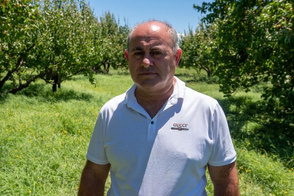 Կարկուտի և գյուղացու ծրագրերը չհամընկան. ի՞նչ են առաջարկում պատկան մարմինները Կարկուտի և գյուղացու ծրագրերը չհամընկան. ի՞նչ են առաջարկում պատկան մարմինները - Sputnik Արմենիա