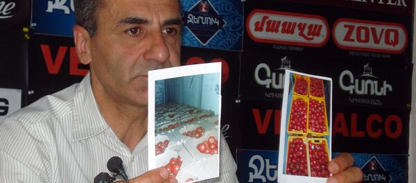 Пресс-конференция Тиграна Залиняна (1 июля 2019). Еревaн - Sputnik Արմենիա