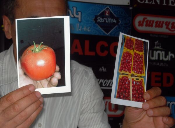 Ինչպես 18 տոննա լոլիկը դատական «կետչուպի» վերածվեց՝ արագաչափի վրա «հանելով» քաղաքացուն - Sputnik Արմենիա