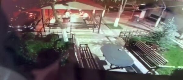 Օրենքով գող Անդիկի վրա կրակելու պահը. բացառիկ տեսանյութ - Sputnik Արմենիա