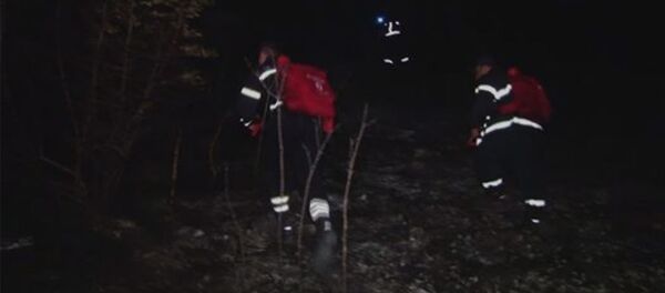 Тушения пожара на армяно-грузинской границе - Sputnik Армения