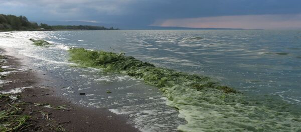 Побережье озера Севан около городского пляжа со стороны Мартуни (5 июля 2019). Гегаркуник - Sputnik Армения