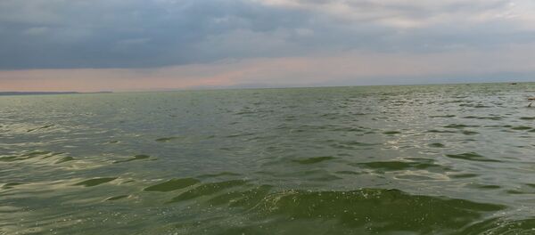 Побережье озера Севан около городского пляжа со стороны Мартуни (5 июля 2019). Гегаркуник - Sputnik Արմենիա