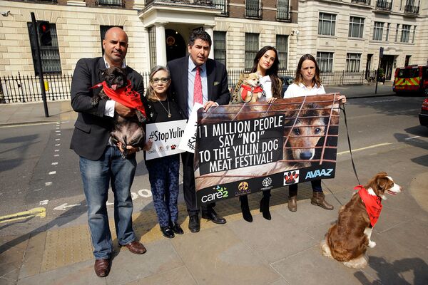 Кто и как спасает собак от мучительной смерти на празднике в Китае Кто и как спасает собак от мучительной смерти на празднике в Китае - Sputnik Армения