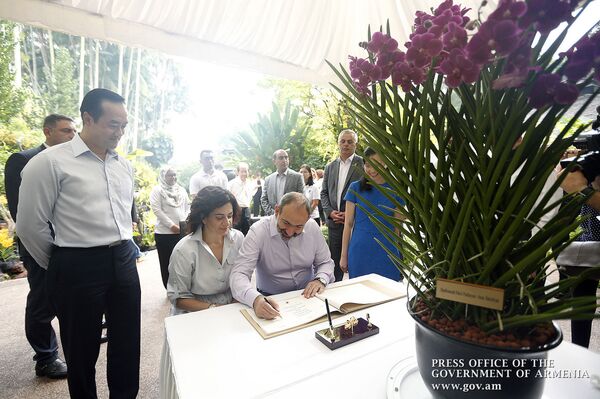 «Սինգապուրյան խոլորձի» նոր տեսակը` Փաշինյանի և նրա կնոջ անունով. այց բուսաբանական այգի - Sputnik Արմենիա