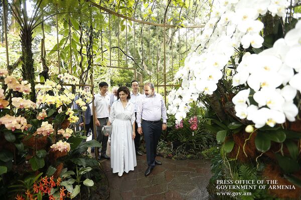 «Սինգապուրյան խոլորձի» նոր տեսակը` Փաշինյանի և նրա կնոջ անունով. այց բուսաբանական այգի - Sputnik Արմենիա