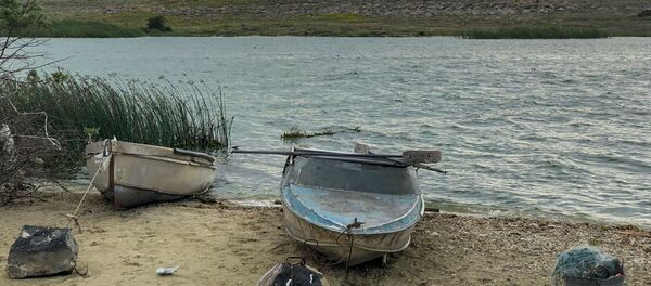 Побережье озера Севан - Sputnik Армения