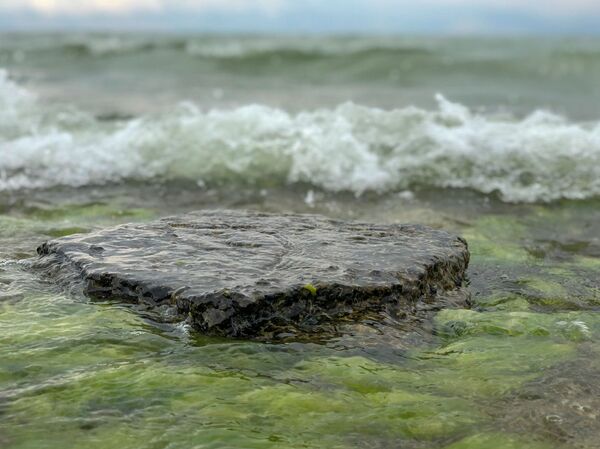 Սևանը խեղդվում է. ի՞նչ է պետք լիճը չկորցնելու ու մարդ կոչվելու իրավունքից չզրկվելու համար Սևանը խեղդվում է. ի՞նչ է պետք լիճը չկորցնելու ու մարդ կոչվելու իրավունքից չզրկվելու համար - Sputnik Արմենիա