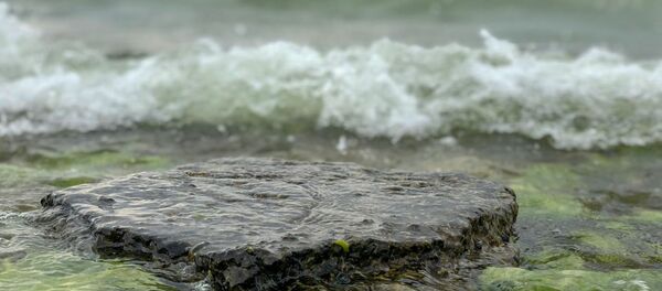 Побережье озера Севан - Sputnik Армения