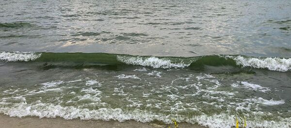 Побережье озера Севан - Sputnik Армения