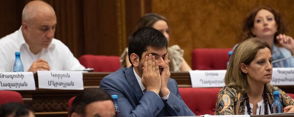Депутат от фракции Мой шаг Саргис Ханданян на внеочередном заседании парламента (9 июля 2019). Еревaн Депутат от фракции Мой шаг Саргис Ханданян на внеочередном заседании парламента (9 июля 2019). Еревaн - Sputnik Արմենիա
