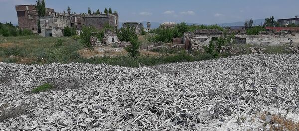 Кладбище останков скота под открытым небом в Гюмри Кладбище останков скота под открытым небом в Гюмри - Sputnik Արմենիա