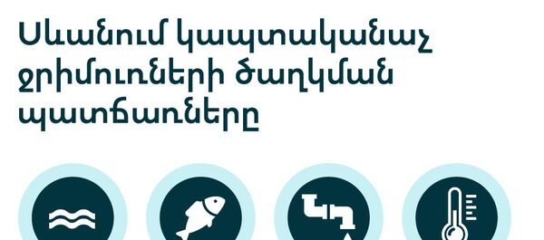 Սևանում կապտականաչ ջրիմուռների ծաղկման պատճառները - Sputnik Արմենիա